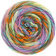 Lana Grossa GOMITOLO SELEZIONE 3 | 3006-fuchsia/subtle green/dark green/mint/orange/brown