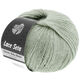Lana Grossa LACE SETA | 17-green gray