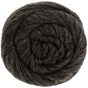 Lana Grossa LANDLUST DIE FILZWOLLE | 5006-anthracite mottled