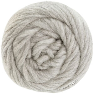 Lana Grossa LANDLUST DIE FILZWOLLE | 5007-light gray mottled