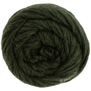 Lana Grossa LANDLUST DIE FILZWOLLE | 5010-black green mottled