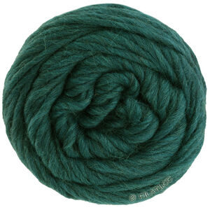 Lana Grossa LANDLUST DIE FILZWOLLE | 5012-dark petrol mottled