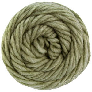 Lana Grossa LANDLUST DIE FILZWOLLE | 5015-linden green mottled
