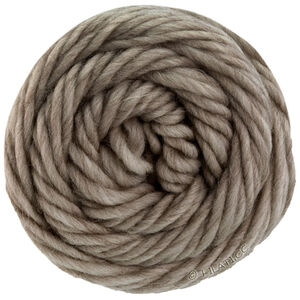 Lana Grossa LANDLUST DIE FILZWOLLE | 5016-stone gray mottled