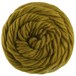 Lana Grossa LANDLUST DIE FILZWOLLE | 5019-mustard mottled