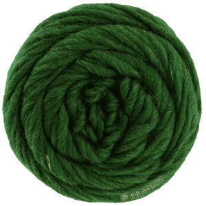 Lana Grossa LANDLUST DIE FILZWOLLE | 5020-emerald mottled
