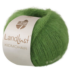 Lana Grossa LANDLUST KIDMOHAIR | 04-green