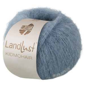 Lana Grossa LANDLUST KIDMOHAIR | 08-gray blue