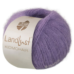 Lana Grossa LANDLUST KIDMOHAIR | 13-gray purple