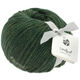 Lana Grossa LANDLUST MERINO 120 | 115-moss green