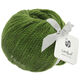Lana Grossa LANDLUST MERINO 120 | 117-green