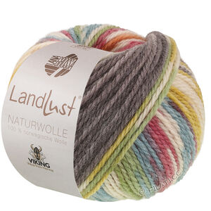Lana Grossa LANDLUST Naturwolle Print | 105-red multicolored variegated