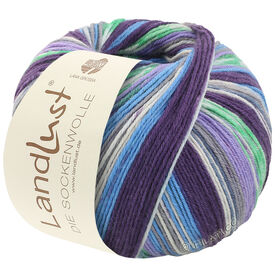 LANDLUST DIE SOCKENWOLLE 150g 6-Ply from Lana Grossa
