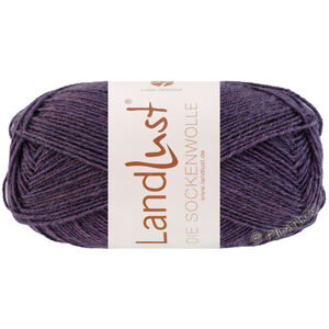Lana Grossa LANDLUST DIE SOCKENWOLLE 50g Mélange | 1601-dark violet mottled