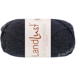 Lana Grossa LANDLUST DIE SOCKENWOLLE 50g Mélange | 1605-black blue mottled