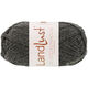 Lana Grossa LANDLUST DIE SOCKENWOLLE 50g Mélange | 1606-anthracite mottled