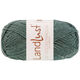 Lana Grossa LANDLUST DIE SOCKENWOLLE 50g Mélange | 1611-jade mottled