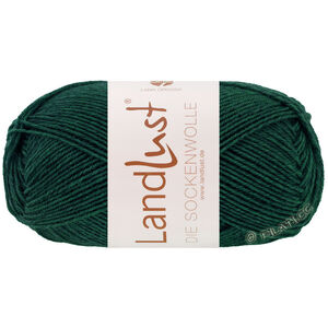 Lana Grossa LANDLUST DIE SOCKENWOLLE 50g Mélange | 1612-dark petrol mottled