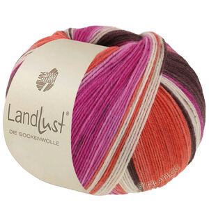 Lana Grossa LANDLUST DIE SOCKENWOLLE | 135-gray brown/fuchsia/ecru/terracotta/orchid striped