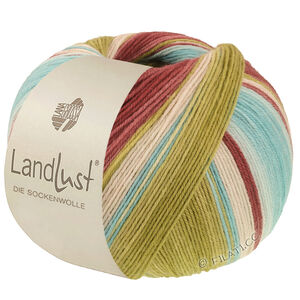 Lana Grossa LANDLUST DIE SOCKENWOLLE | 136-burgundy/gray red/mint/turquoise/pistachio/natural striped