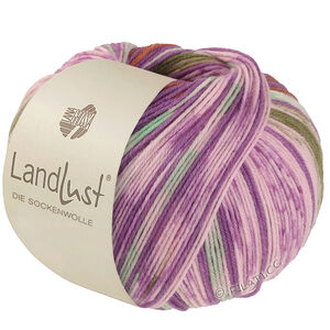 Lana Grossa LANDLUST DIE SOCKENWOLLE | 611-orchid/brown/may green/ecru/rose/olive striped