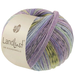 Lana Grossa LANDLUST DIE SOCKENWOLLE | 618-violet blue/jeans/light blue/light gray/dark gray/jade/pistachio/lilac striped