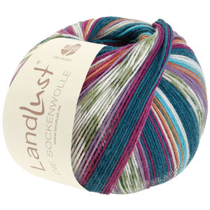 Lana Grossa LANDLUST DIE SOCKENWOLLE | 710-turquoise/ecru/dark petrol/khaki/plum/orange/orchid
