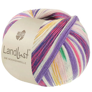 Lana Grossa LANDLUST DIE SOCKENWOLLE | 721-rose/ecru/green/blue violet/saffron yellow/pink/fuchsia striped