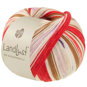 Lana Grossa LANDLUST DIE SOCKENWOLLE | 725-orient red/strawberry red/ecru/brown/rose/lilac/light beige/dark blue striped