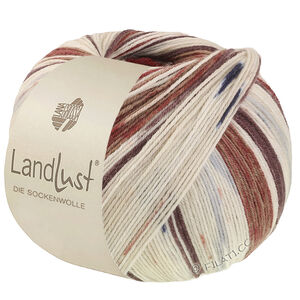 Lana Grossa LANDLUST DIE SOCKENWOLLE | 726-black brown/gray brown/ecru/light beige/night blue/dark red/light gray striped