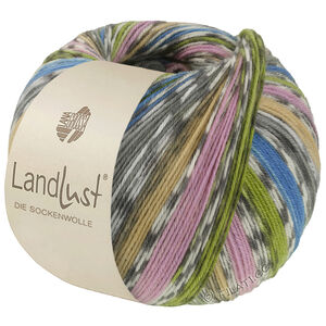 Lana Grossa LANDLUST DIE SOCKENWOLLE | 822-