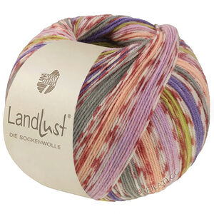 Lana Grossa LANDLUST DIE SOCKENWOLLE | 826-
