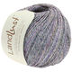Lana Grossa LANDLUST SOMMERSEIDE Mélange | 103-anthracite/purple/petrol