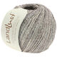 Lana Grossa LANDLUST SOMMERSEIDE Mélange | 104-gray/brown/beige