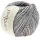 Lana Grossa LANDLUST SOMMERSEIDE Mélange | 114-gray brown/gray beige mottled