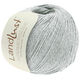 Lana Grossa LANDLUST SOMMERSEIDE | 026-ice gray