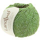 Lana Grossa LANDLUST SOMMERSEIDE | 036-apple green