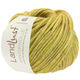 Lana Grossa LANDLUST WINTERWOLLE | 01-lemon yellow mottled