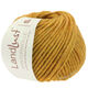 Lana Grossa LANDLUST WINTERWOLLE | 02-honey yellow mottled