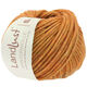 Lana Grossa LANDLUST WINTERWOLLE | 03-orange mottled