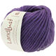 Lana Grossa LANDLUST WINTERWOLLE | 05-purple mottled