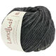 Lana Grossa LANDLUST WINTERWOLLE | 07-anthracite mottled
