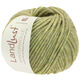 Lana Grossa LANDLUST WINTERWOLLE | 12-linden green mottled