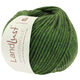 Lana Grossa LANDLUST WINTERWOLLE | 14-moss green mottled
