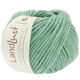 Lana Grossa LANDLUST WINTERWOLLE | 17-mint mottled