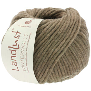 Lana Grossa LANDLUST WINTERWOLLE | 20-gray brown mottled