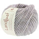 Lana Grossa LANDLUST WINTERWOLLE | 22-lilac mottled