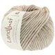 Lana Grossa LANDLUST WINTERWOLLE | 24-taupe mottled