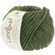 Lana Grossa LANDLUST WINTERWOLLE | 25-forest green mottled
