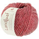 Lana Grossa LANDLUST WINTERWOLLE | 29-red mottled
